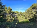 Image du bien UBI473003072